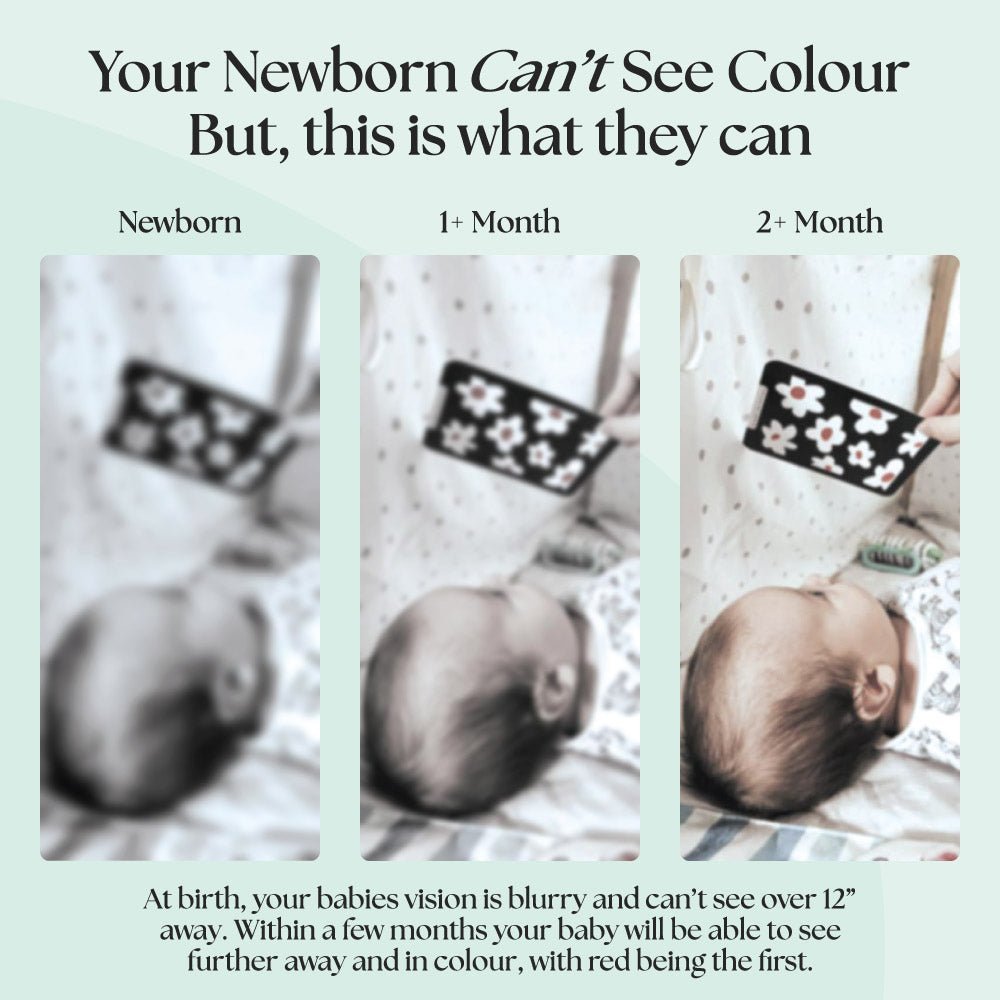 Newborn Sensory Cards – Baby Development Cards for children, available at Learning Bugs UK