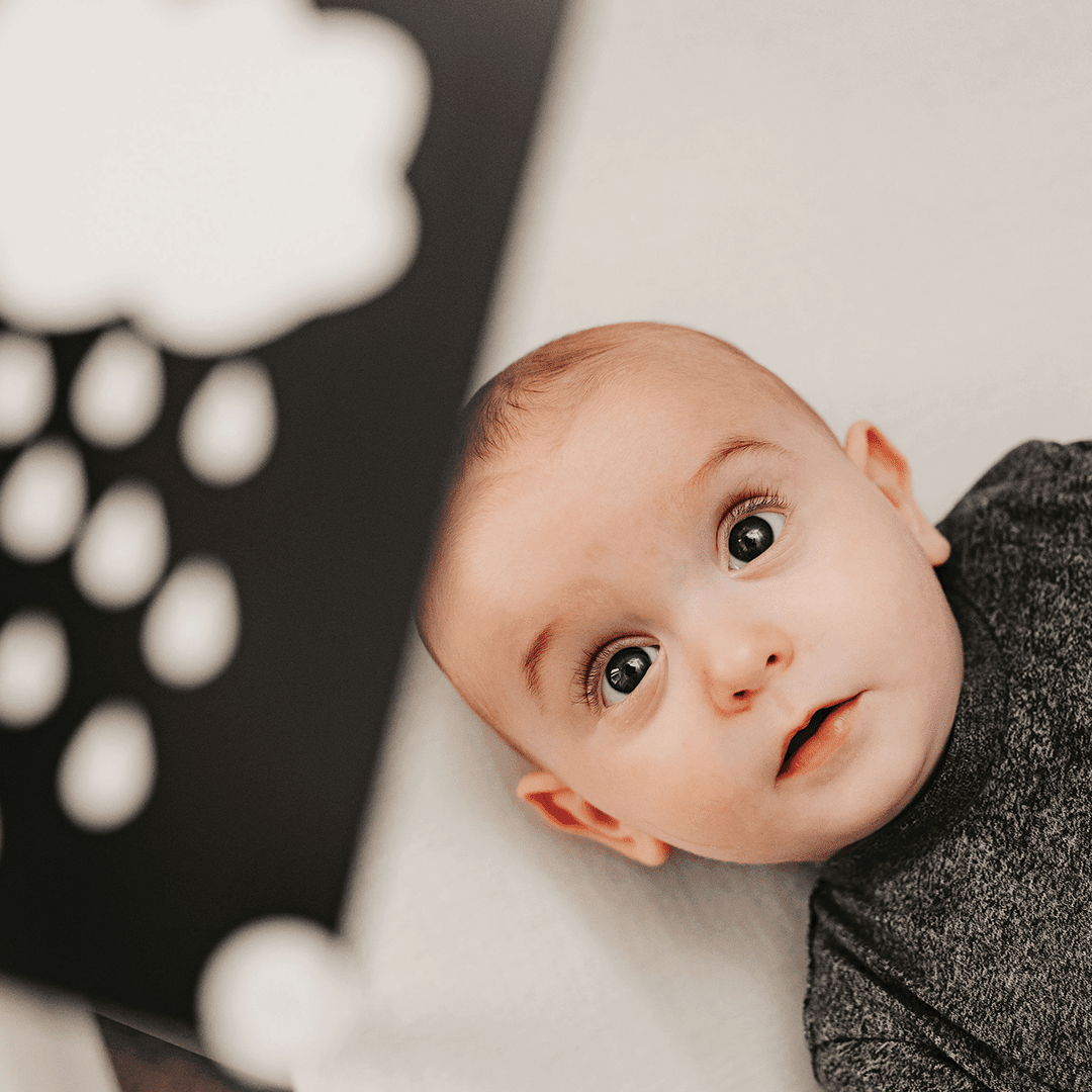 Sensory Flash Card Bundle – Baby Development Cards for children, available at Learning Bugs UK