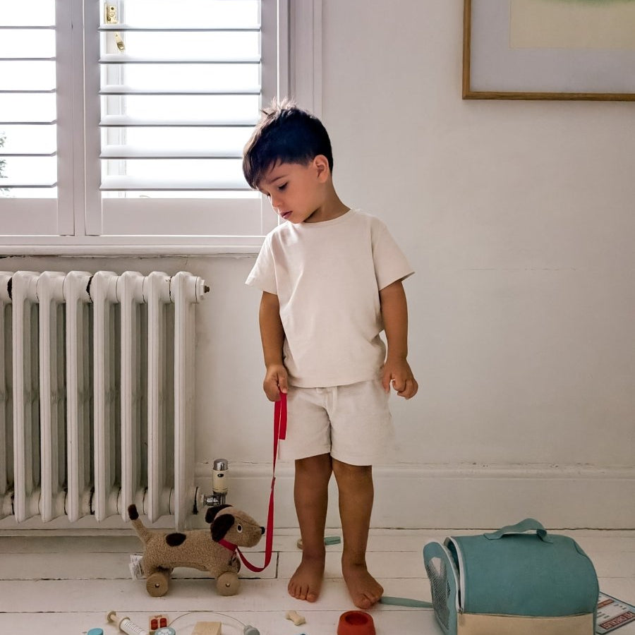 Animal Rescue Vet Set – role play for children, available at Learning Bugs UK