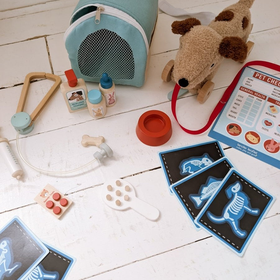 Animal Rescue Vet Set – role play for children, available at Learning Bugs UK