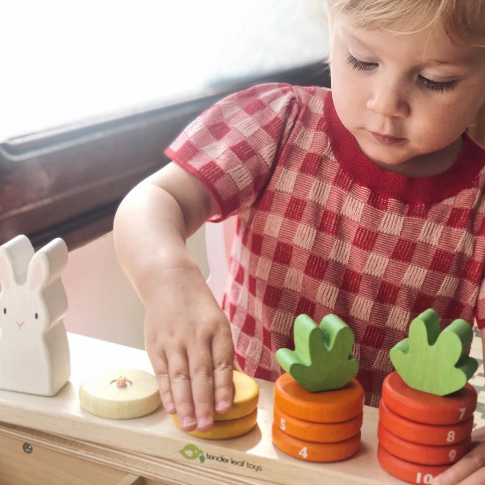 Tender Leaf Counting Carrots by Tenderleaf Toys - Learning Bugs UK