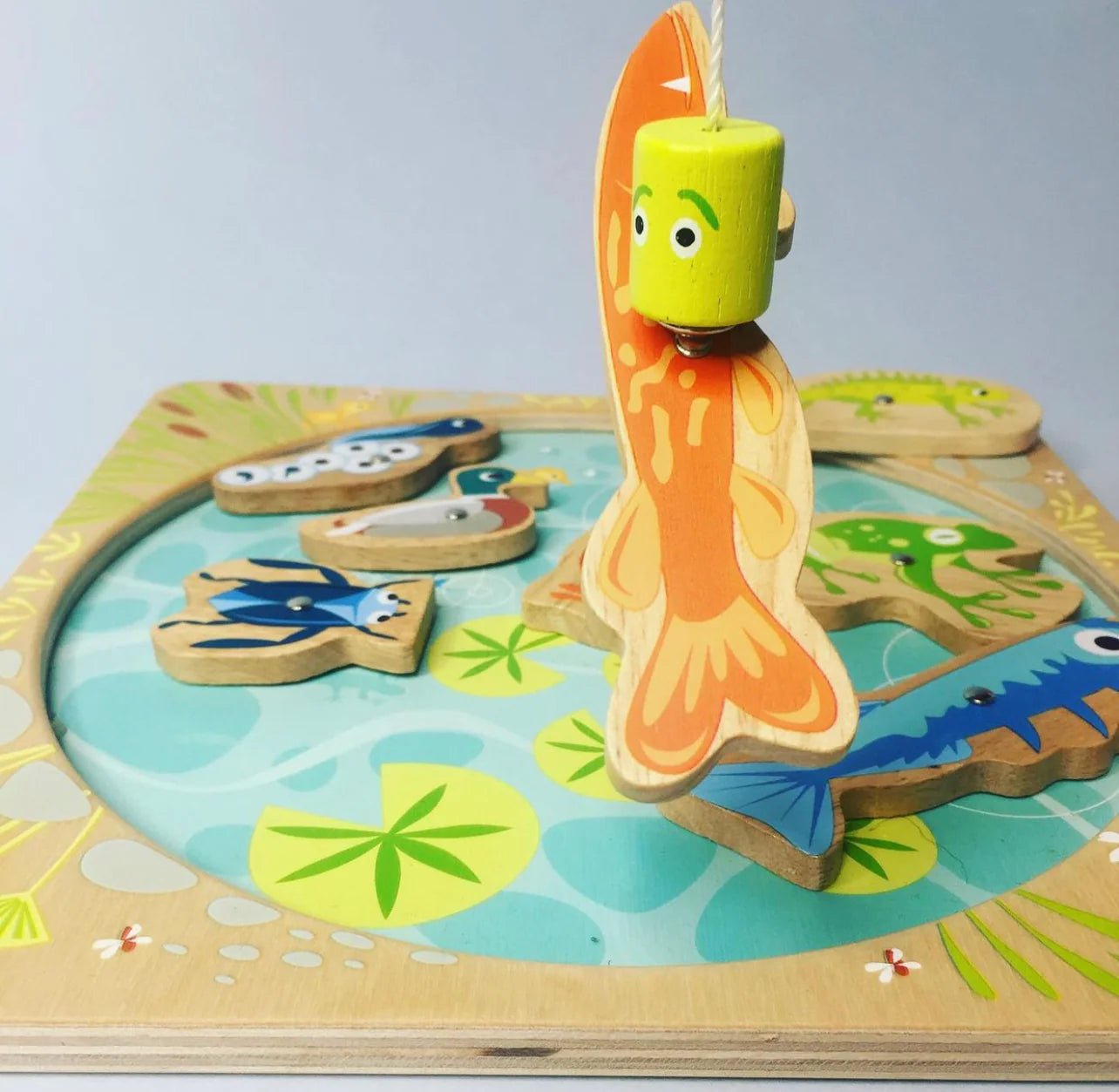 Tender Leaf Pond Dipping by Tenderleaf Toys - Learning Bugs UK