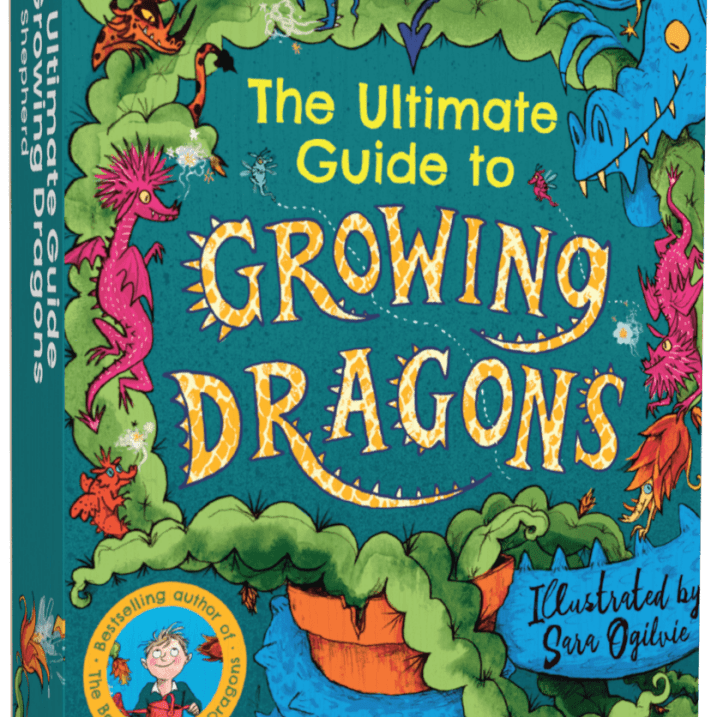 The Boy Who Dreamed of Dragons Audiobook Bundle – Audiobooks Bundle for children, available at Learning Bugs UK