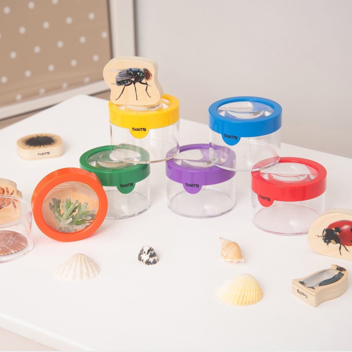 Rainbow Exploration Kit – Baby Toys & Activity Equipment for children, available at Learning Bugs UK