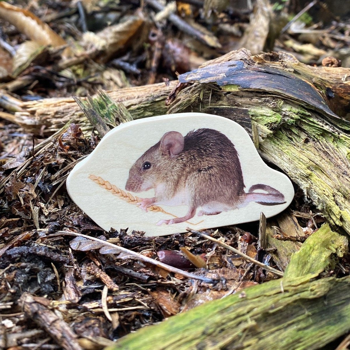 Wooden Forest Animal Blocks – Real Image - Blocks for children, available at Learning Bugs UK