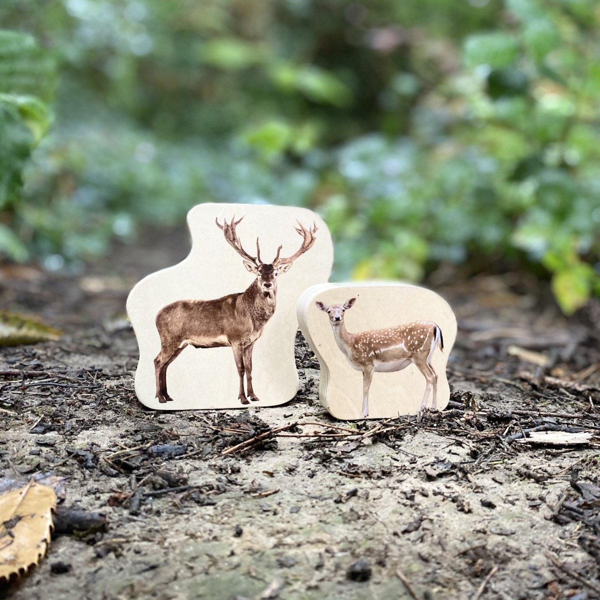 Wooden Forest Animal Blocks – Real Image - Blocks for children, available at Learning Bugs UK