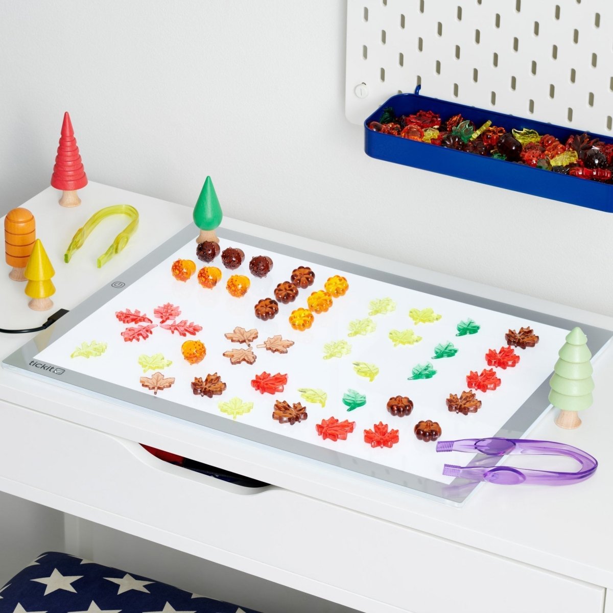 Translucent Colour Leaves & Seeds – for children, available at Learning Bugs UK