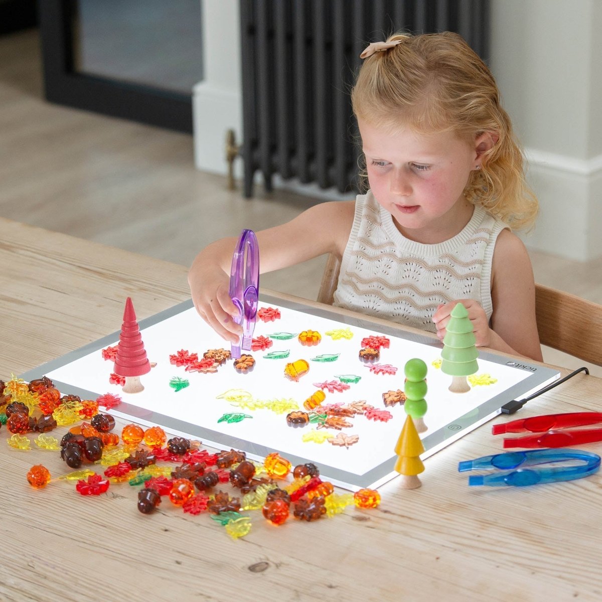 Translucent Colour Leaves & Seeds – for children, available at Learning Bugs UK