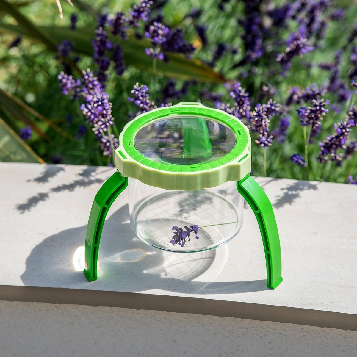 Tabletop Magnifier 2.3X & Pot – for children, available at Learning Bugs UK