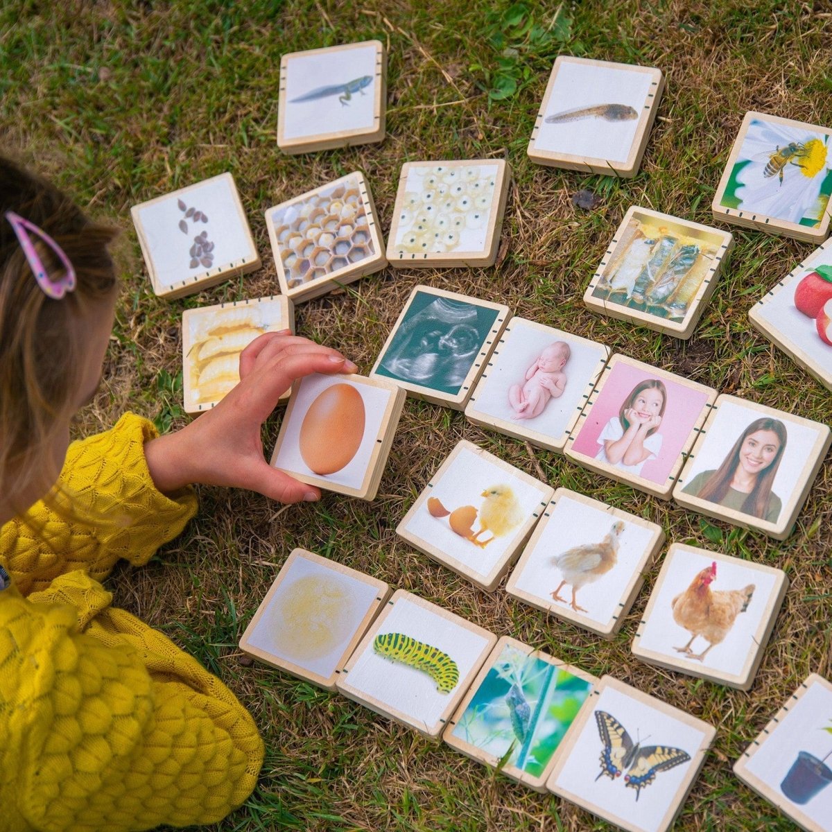 Wooden Lifecycle Tiles – Baby Toys & Activity Equipment for children, available at Learning Bugs UK