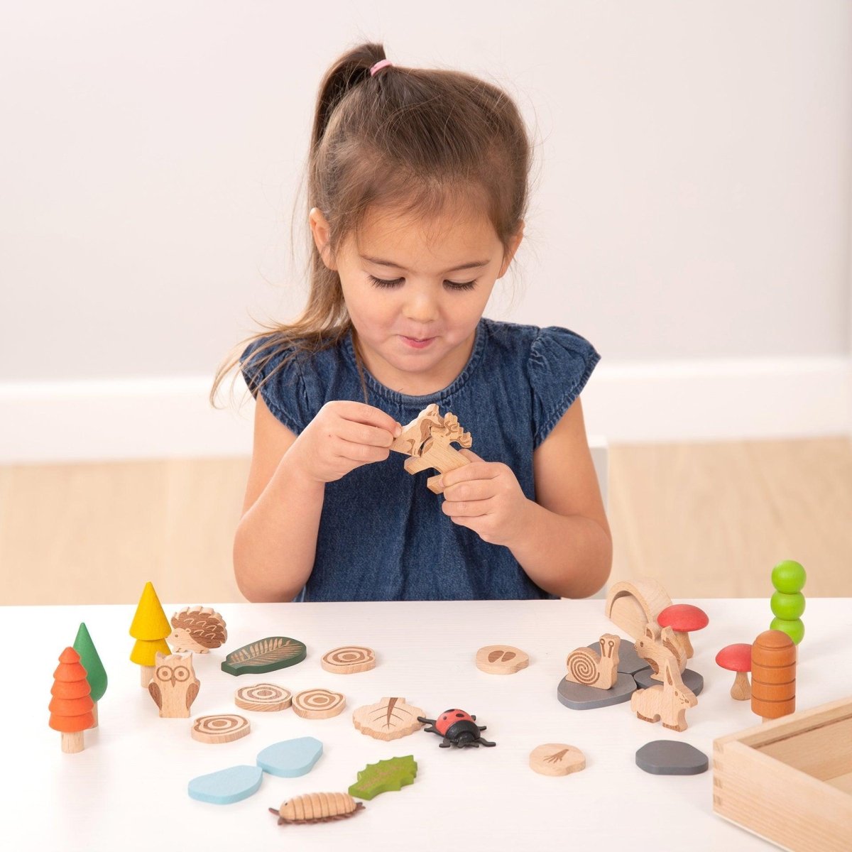 Woodland Trail Set – Baby Toys & Activity Equipment for children, available at Learning Bugs UK