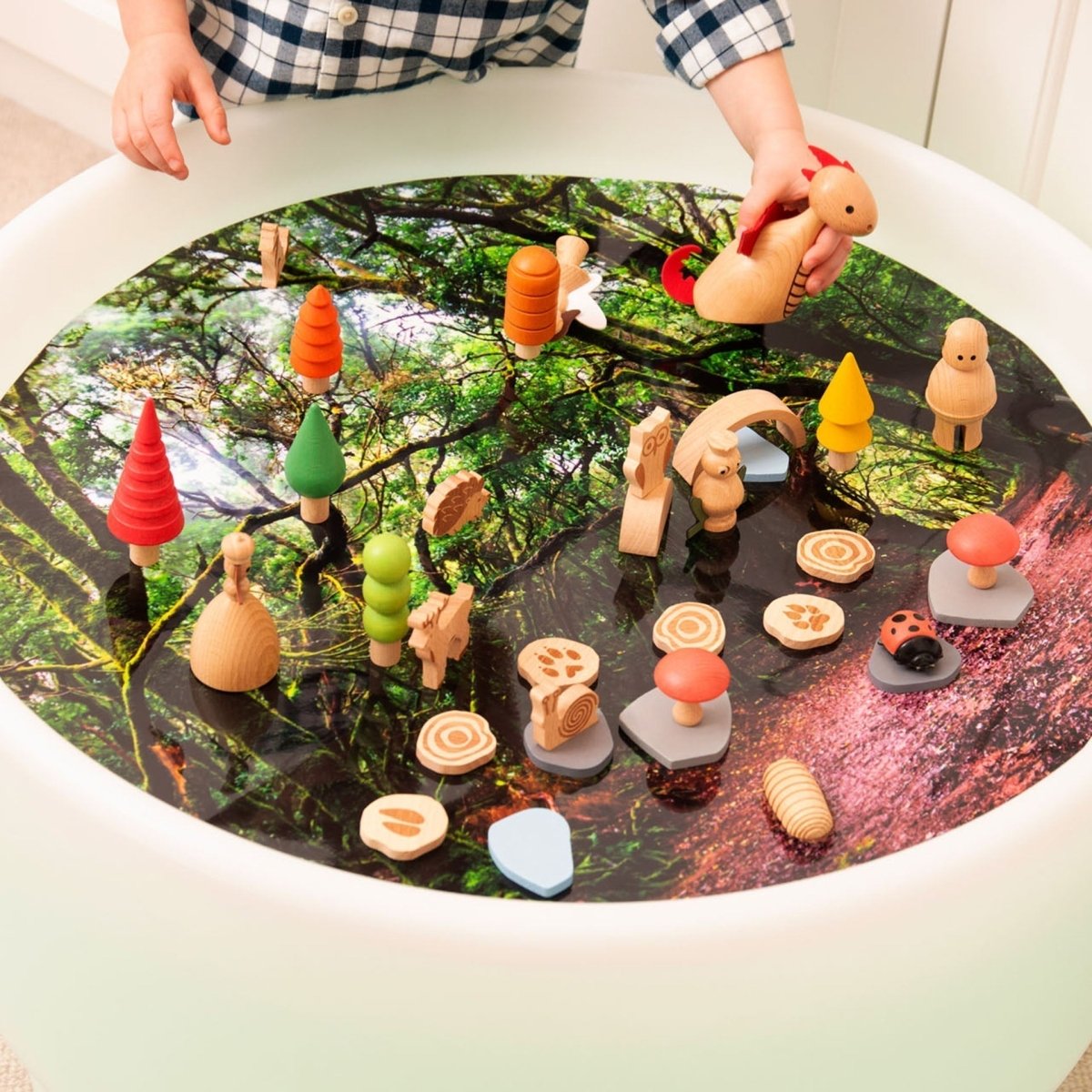 Forest Discovery Play Mat – Baby Toys & Activity Equipment for children, available at Learning Bugs UK