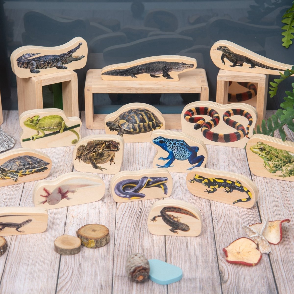 Wooden Reptile & Amphibian Blocks – Baby Toys & Activity Equipment for children, available at Learning Bugs UK