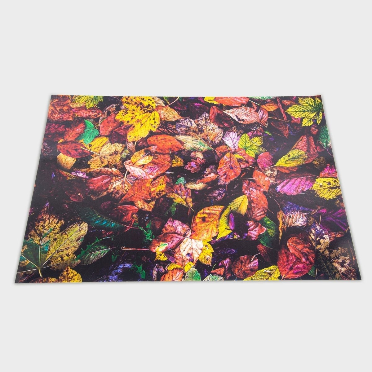 Autumn Leaves A2 Play Mat – Baby Toys & Activity Equipment for children, available at Learning Bugs UK