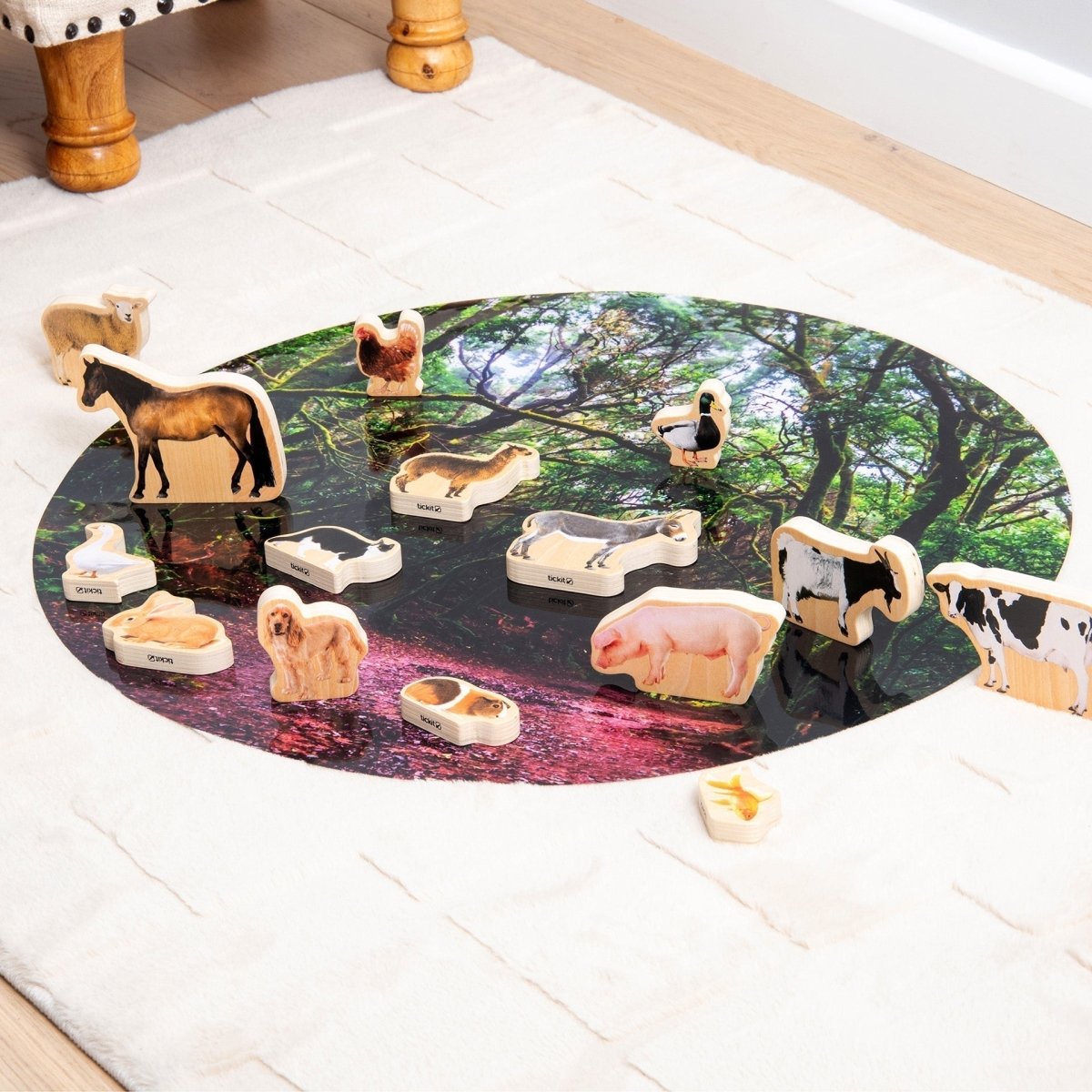 Wooden Domestic Animal Blocks – Baby Toys & Activity Equipment for children, available at Learning Bugs UK