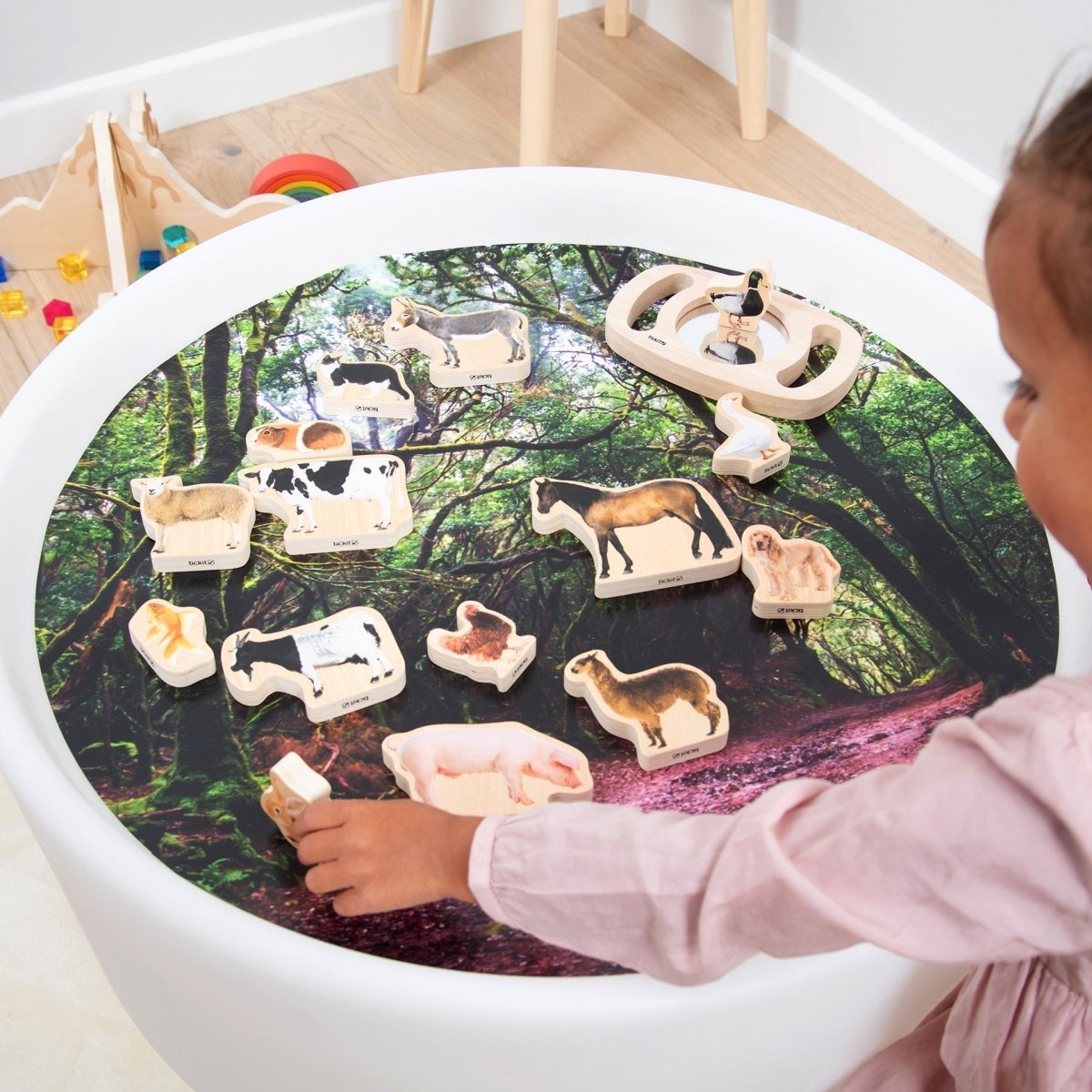 Wooden Domestic Animal Blocks – Baby Toys & Activity Equipment for children, available at Learning Bugs UK