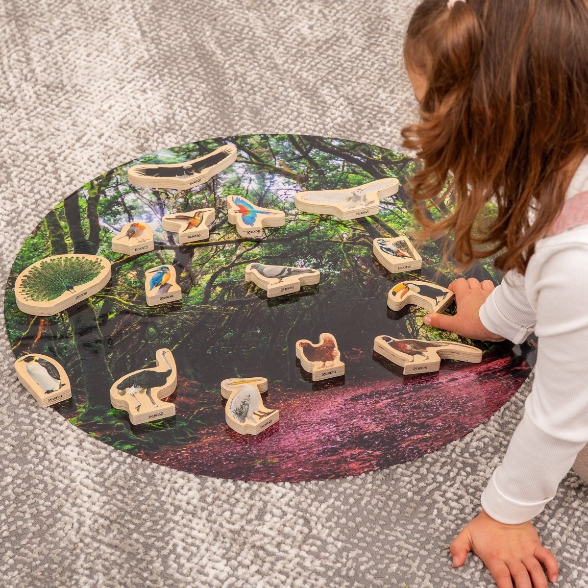 Wooden Bird Blocks – for children, available at Learning Bugs UK