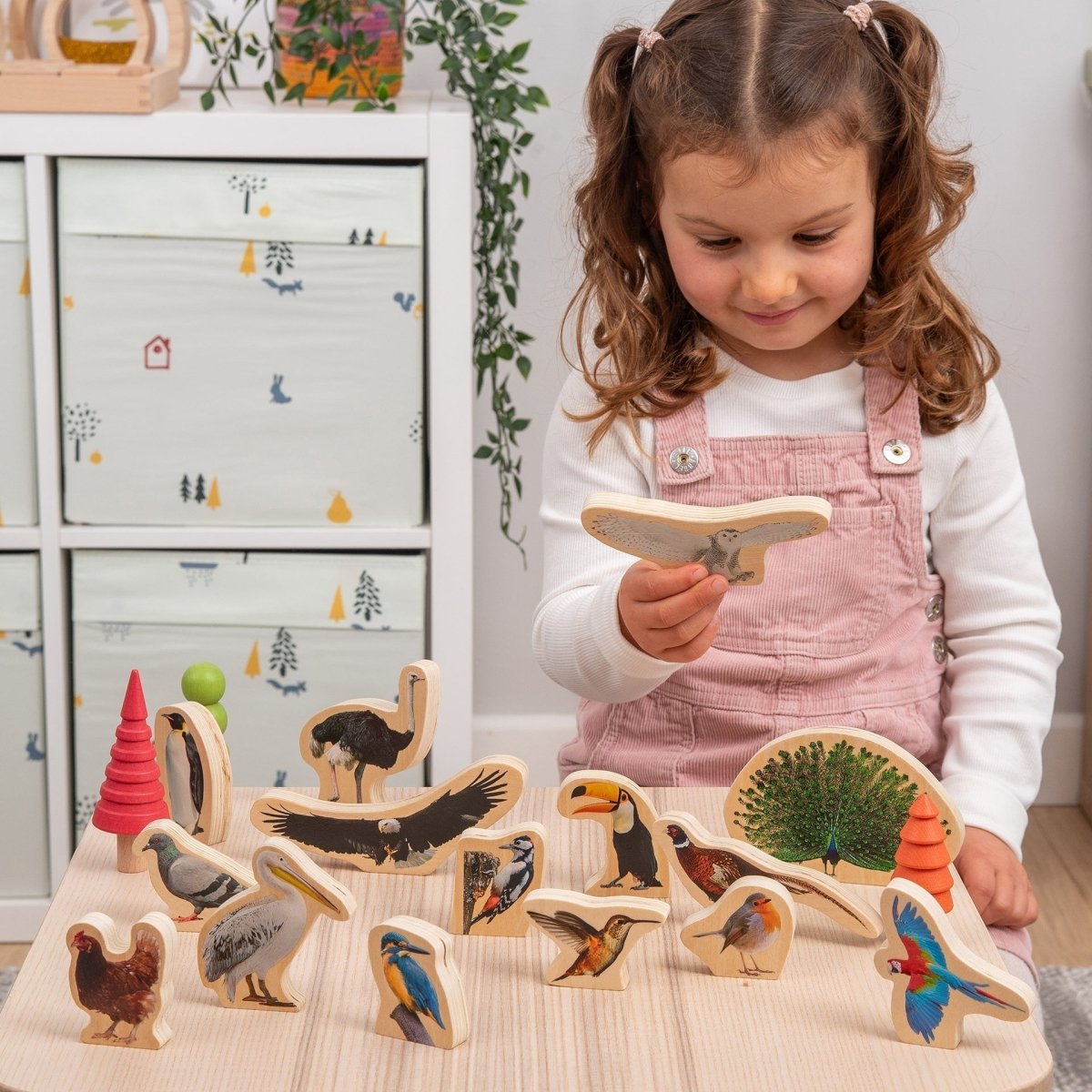 Wooden Bird Blocks – for children, available at Learning Bugs UK