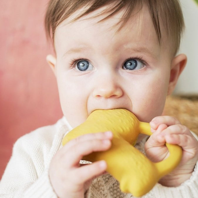 Oli & Carol x Donna Wilson Richie Lion Teether – Baby Teethers for children, available at Learning Bugs UK