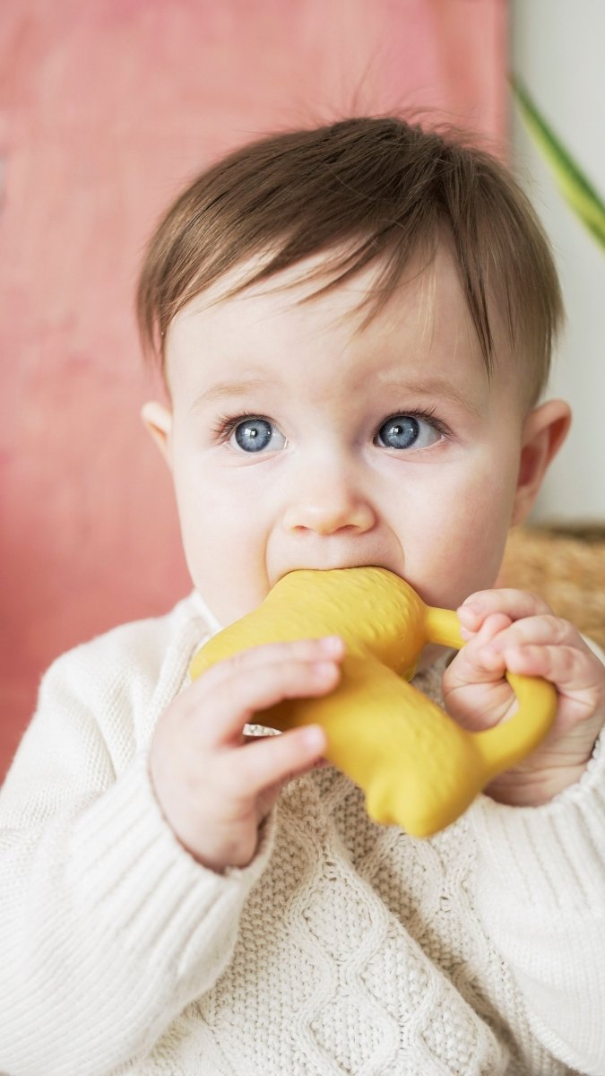 Oli & Carol x Donna Wilson Richie Lion Teether – Baby Teethers for children, available at Learning Bugs UK