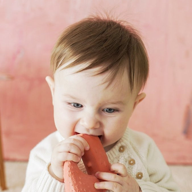 Oli & Carol x Donna Wilson Cyril Squirrel Fox Teether – Baby Teethers for children, available at Learning Bugs UK