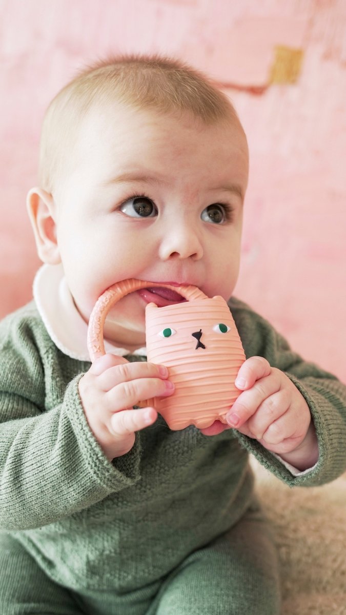 Oli & Carol x Donna Wilson Ginge the Cat Teether – Baby Teethers for children, available at Learning Bugs UK