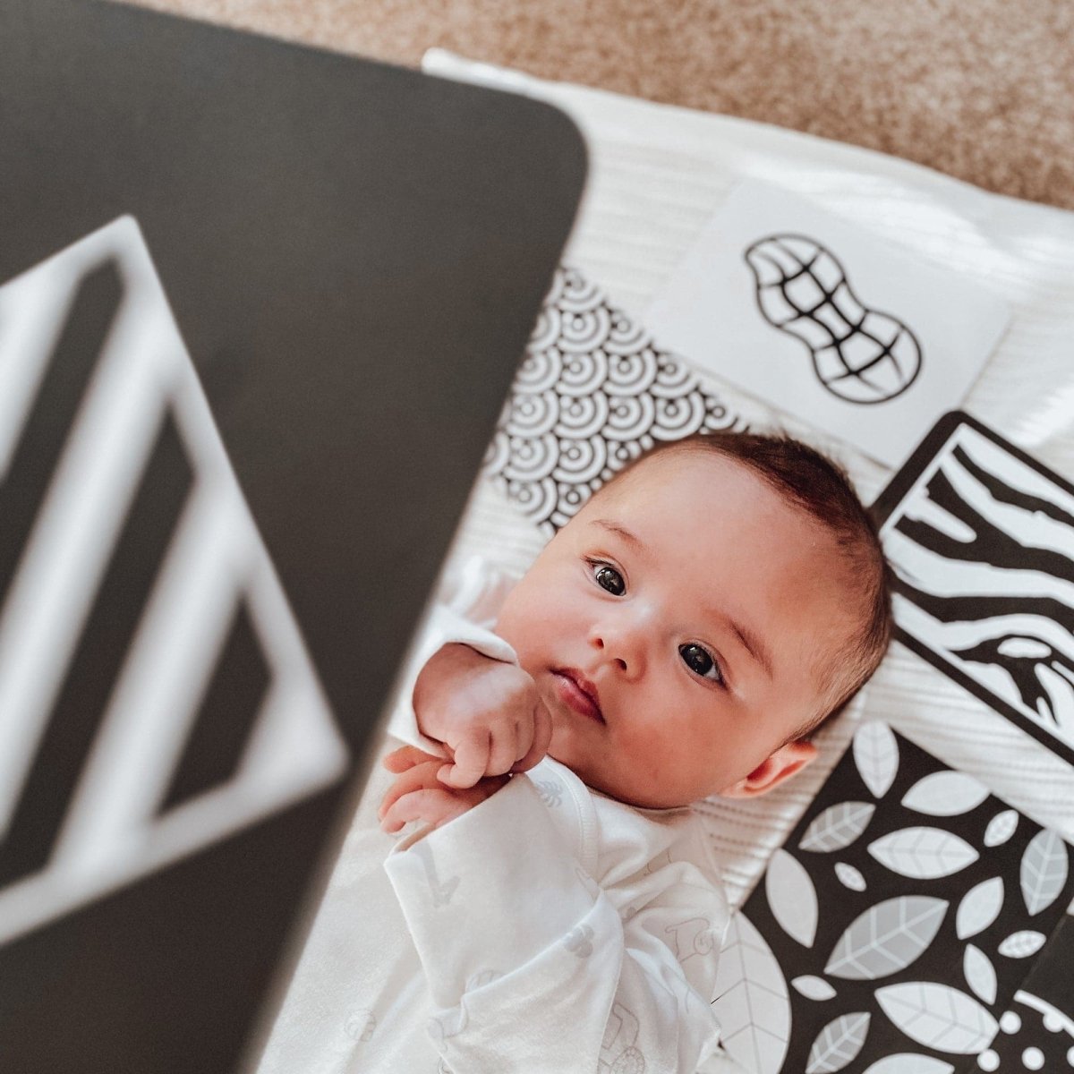 The Complete Development Bundle – Baby Development Cards for children, available at Learning Bugs UK