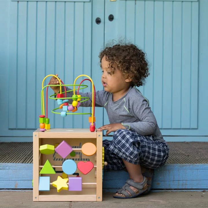 Buy Classic World Large Multi - Activity Cube | for kids by Learning Bugs UK
