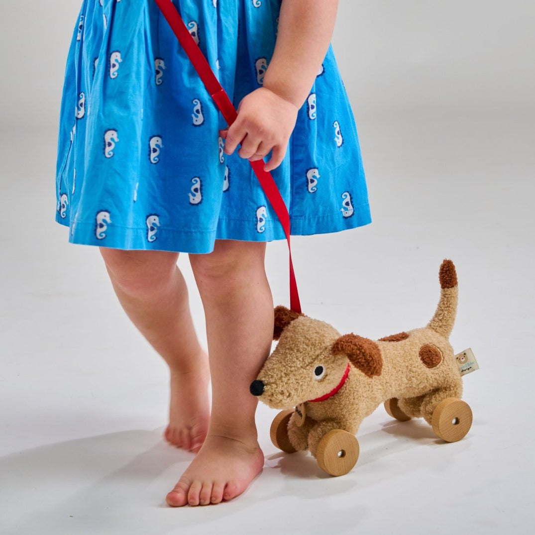 Dudley Pull Along Dog – Pull-along soft toy for children, available at Learning Bugs UK