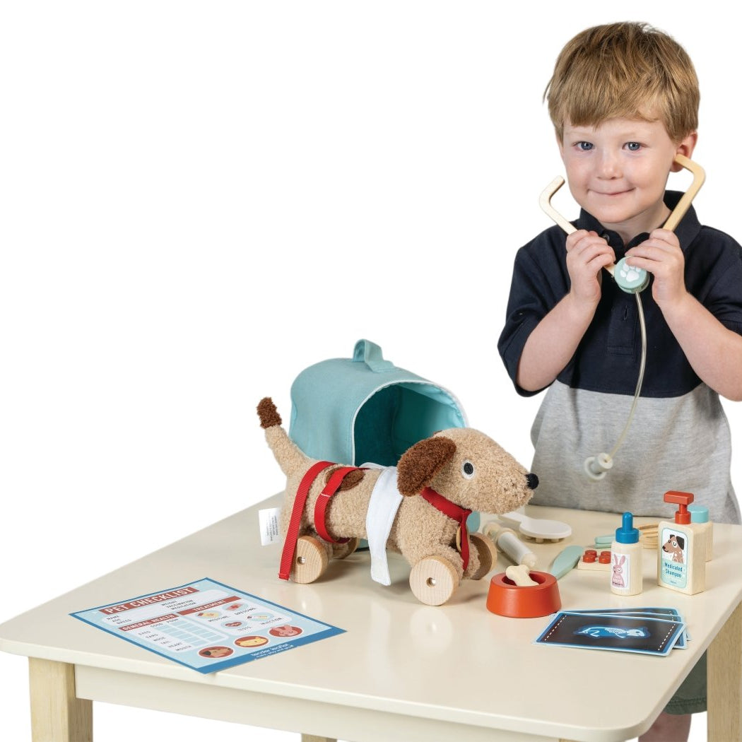 Animal Rescue Vet Set – role play for children, available at Learning Bugs UK