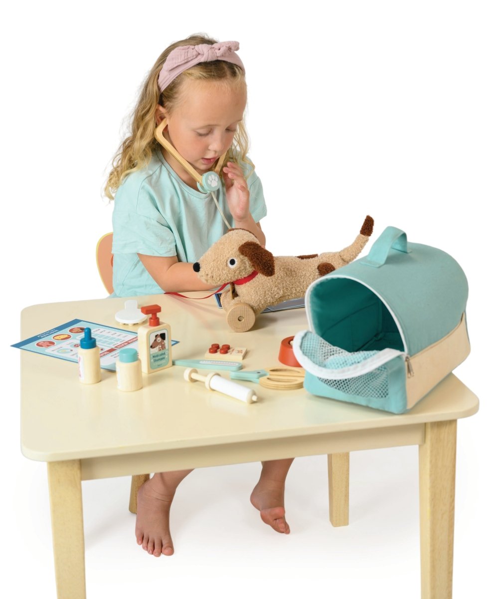 Animal Rescue Vet Set – role play for children, available at Learning Bugs UK