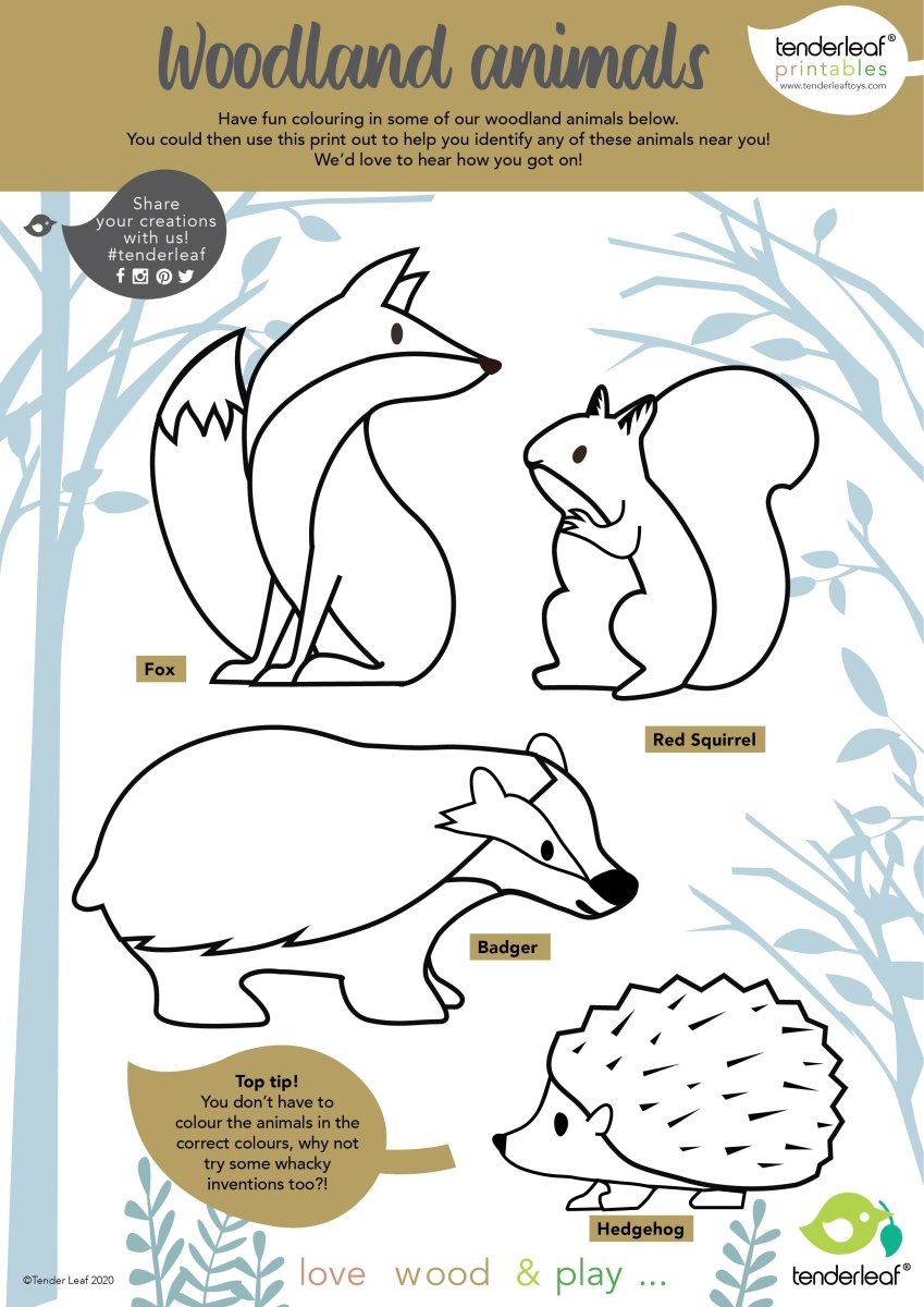 8 Woodland Animals Shelf Set – Wooden animals shelf for children, available at Learning Bugs UK