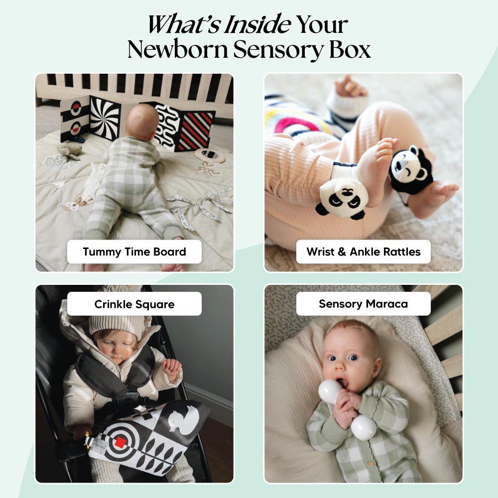 The Newborn Sensory Box – Baby Activity Toys for children, available at Learning Bugs UK