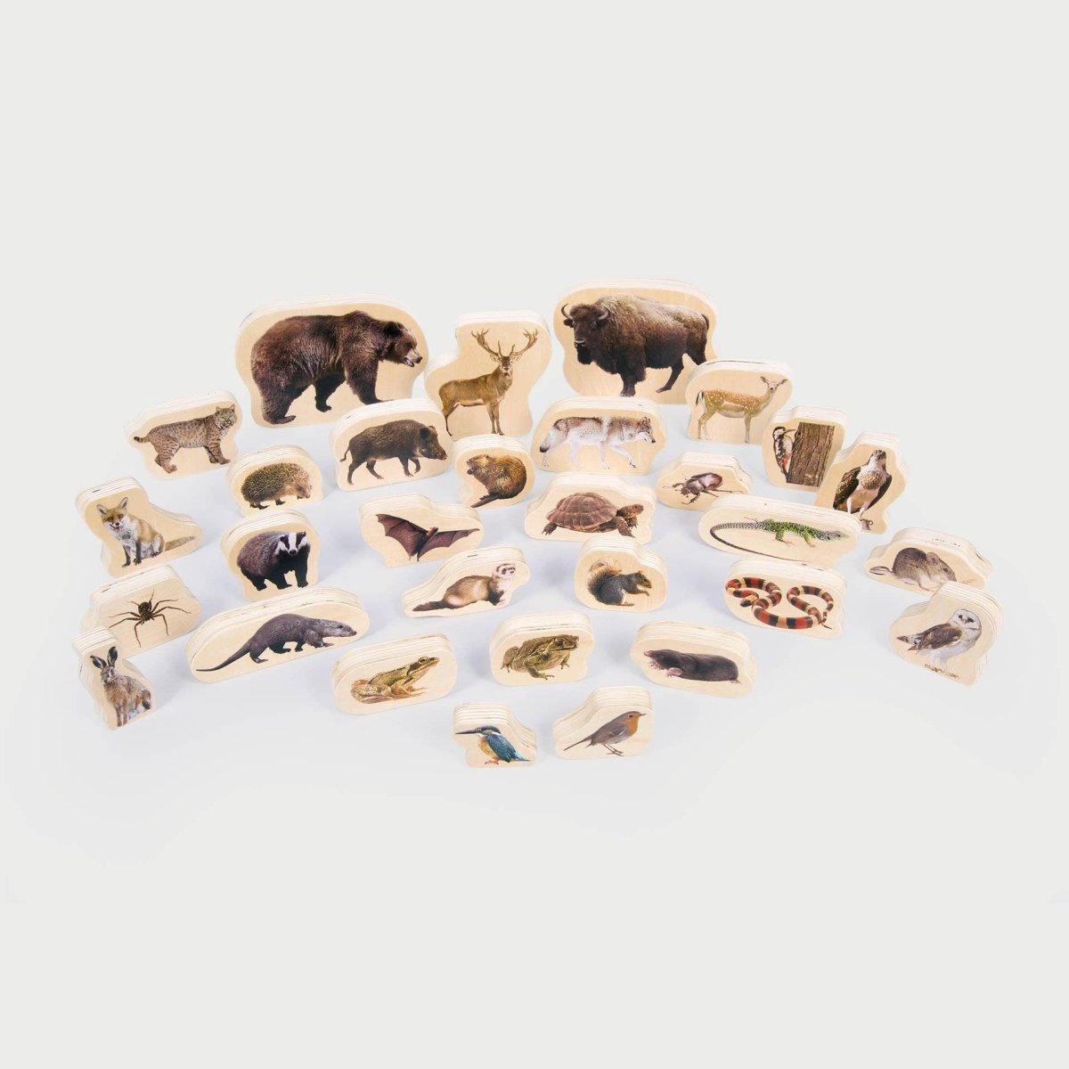 Wooden Forest Animal Blocks – Real Image - Blocks for children, available at Learning Bugs UK