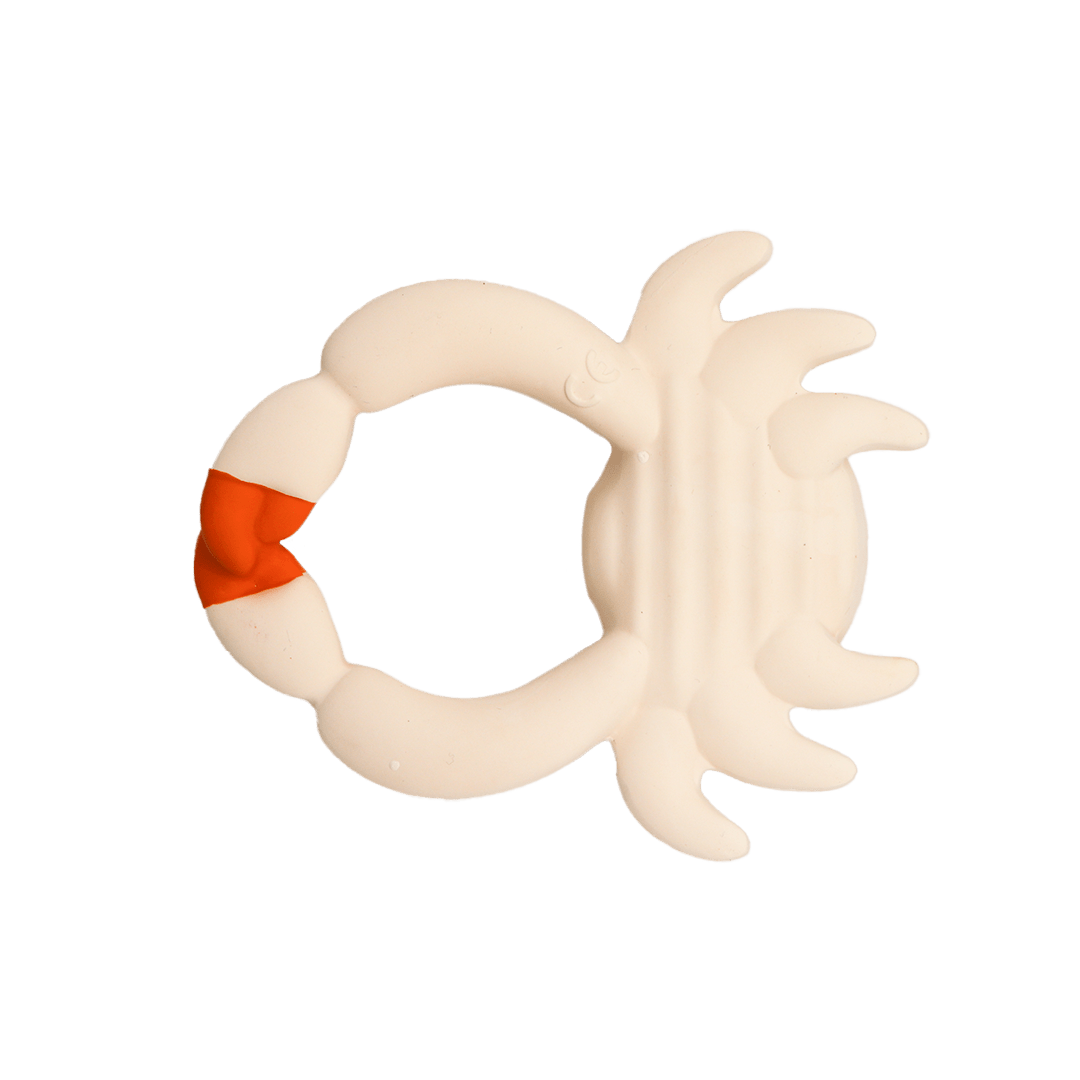 Oli & Carol x BIGSTUFFED Sharon the Crab Bath Toy – Bath Toys for children, available at Learning Bugs UK