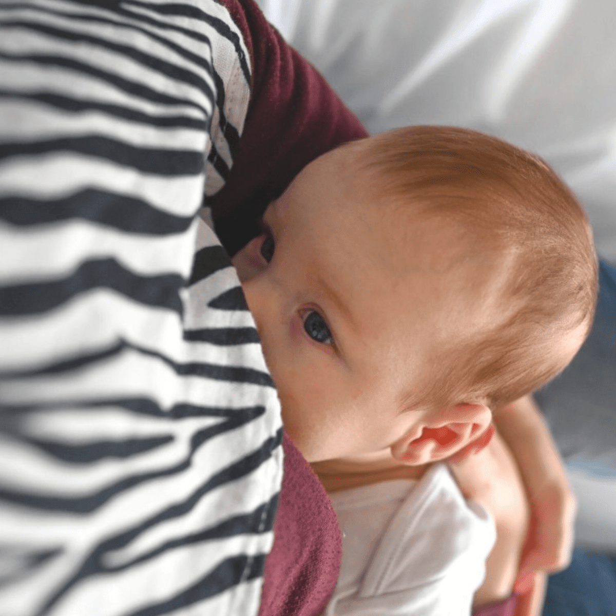 Animal Print Muslin 3-Pack – Muslin squares for children, available at Learning Bugs UK