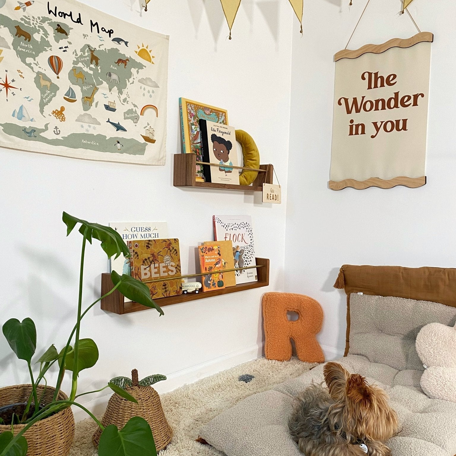 Buy Autumns Corner - the A.C Editions Shelf | Bookshelf for kids by Learning Bugs UK