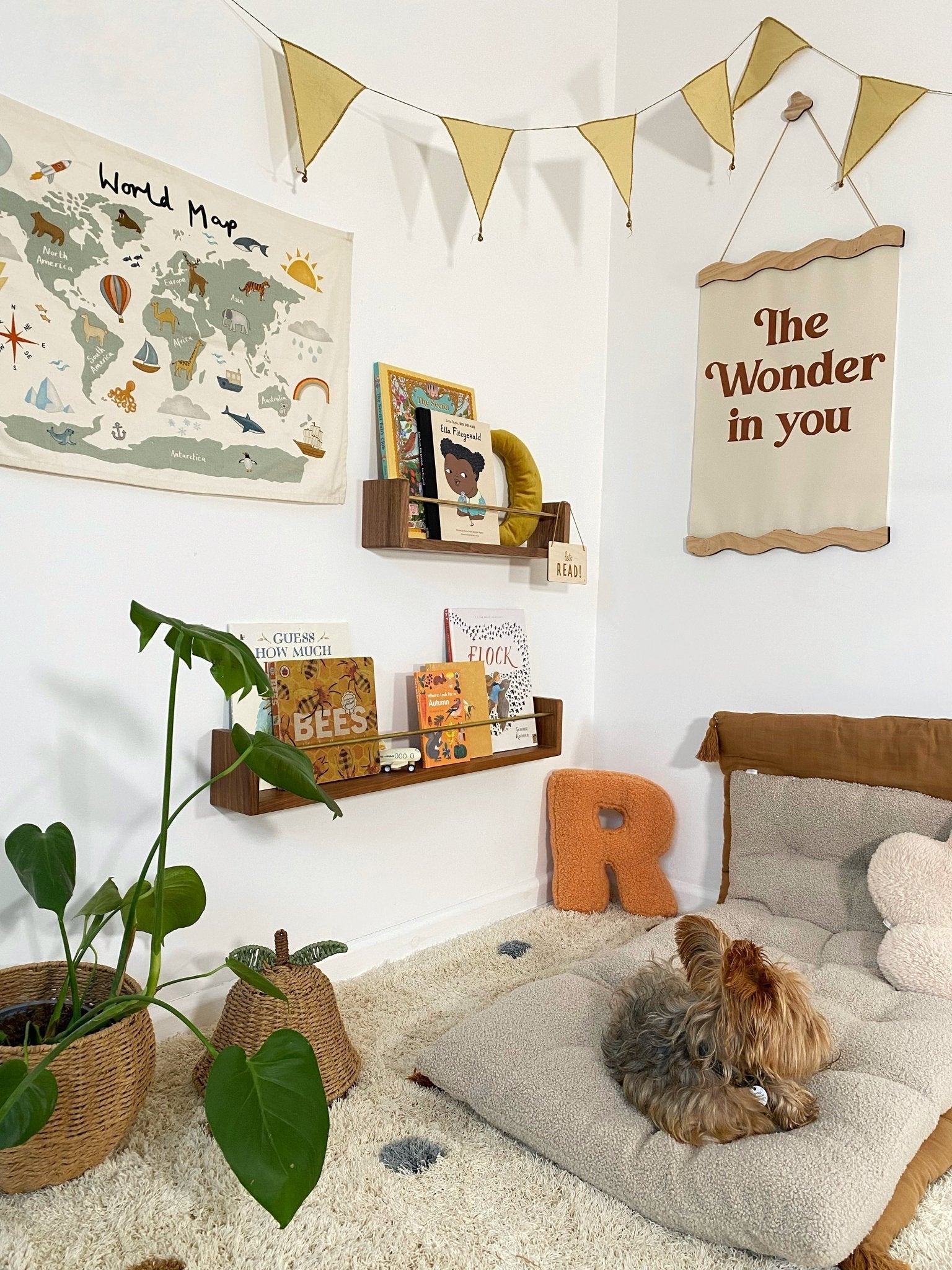 Buy Autumns Corner - the A.C Editions Shelf | Bookshelf for kids by Learning Bugs UK