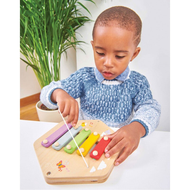 Buy Le Toy Van Wooden Rainbow Xylophone | for kids by Learning Bugs UK