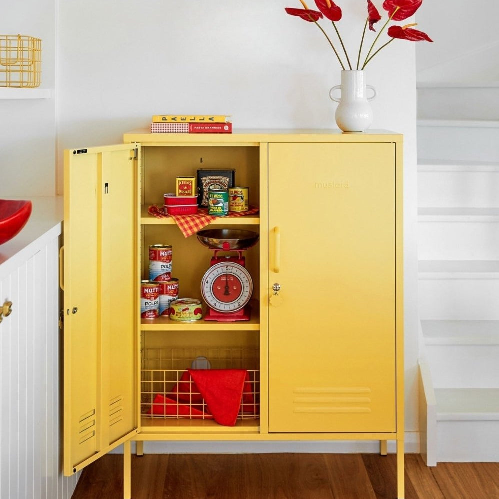 The Midi – The Midi for children, available at Learning Bugs UK