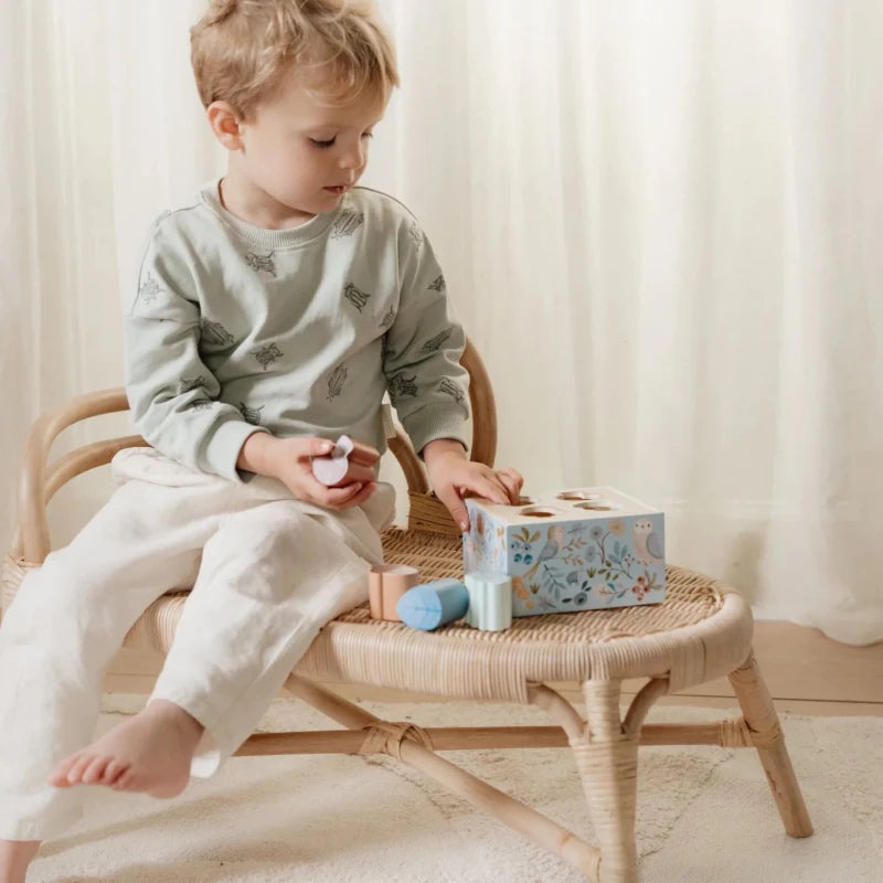 Shape Sorter Forest Friends FSC – for children, available at Learning Bugs UK