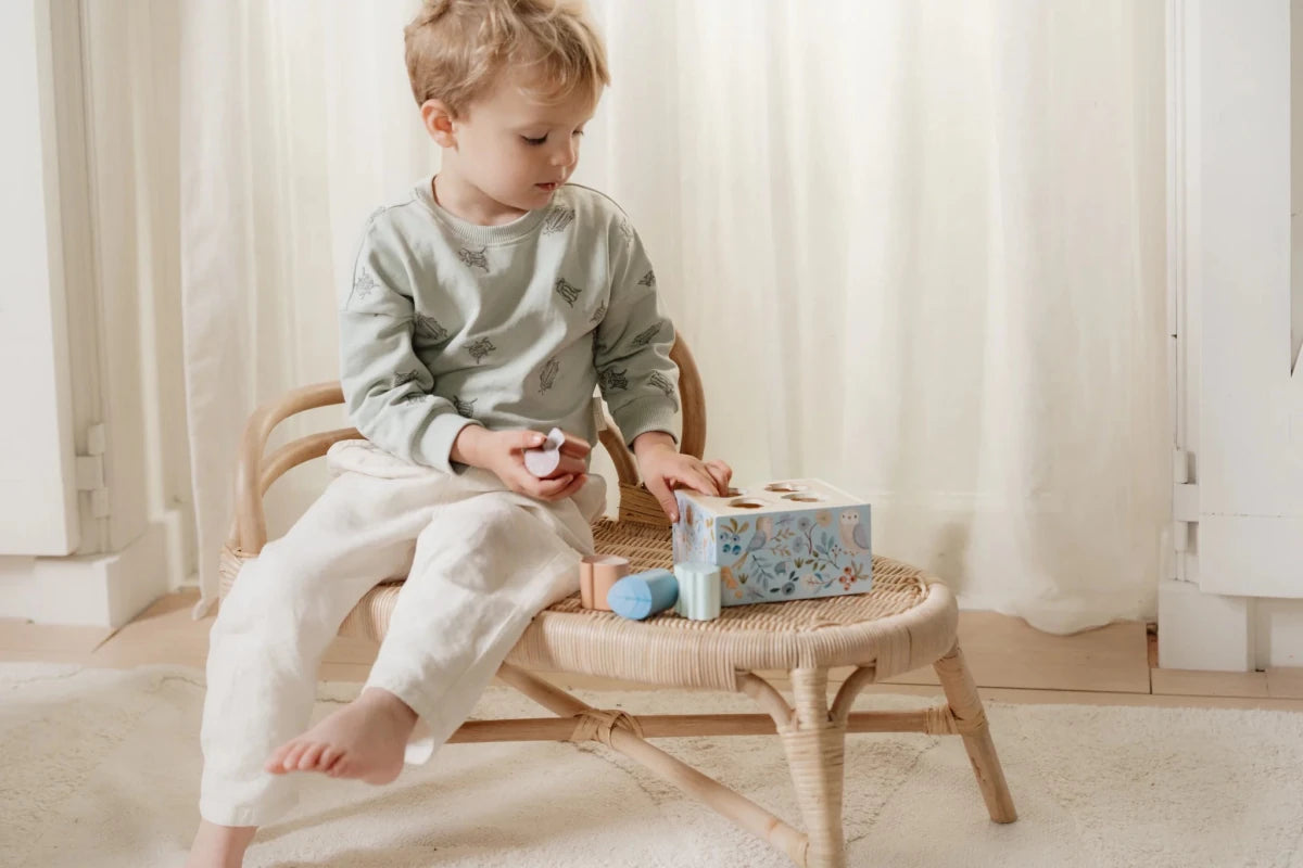 Shape Sorter Forest Friends FSC – for children, available at Learning Bugs UK