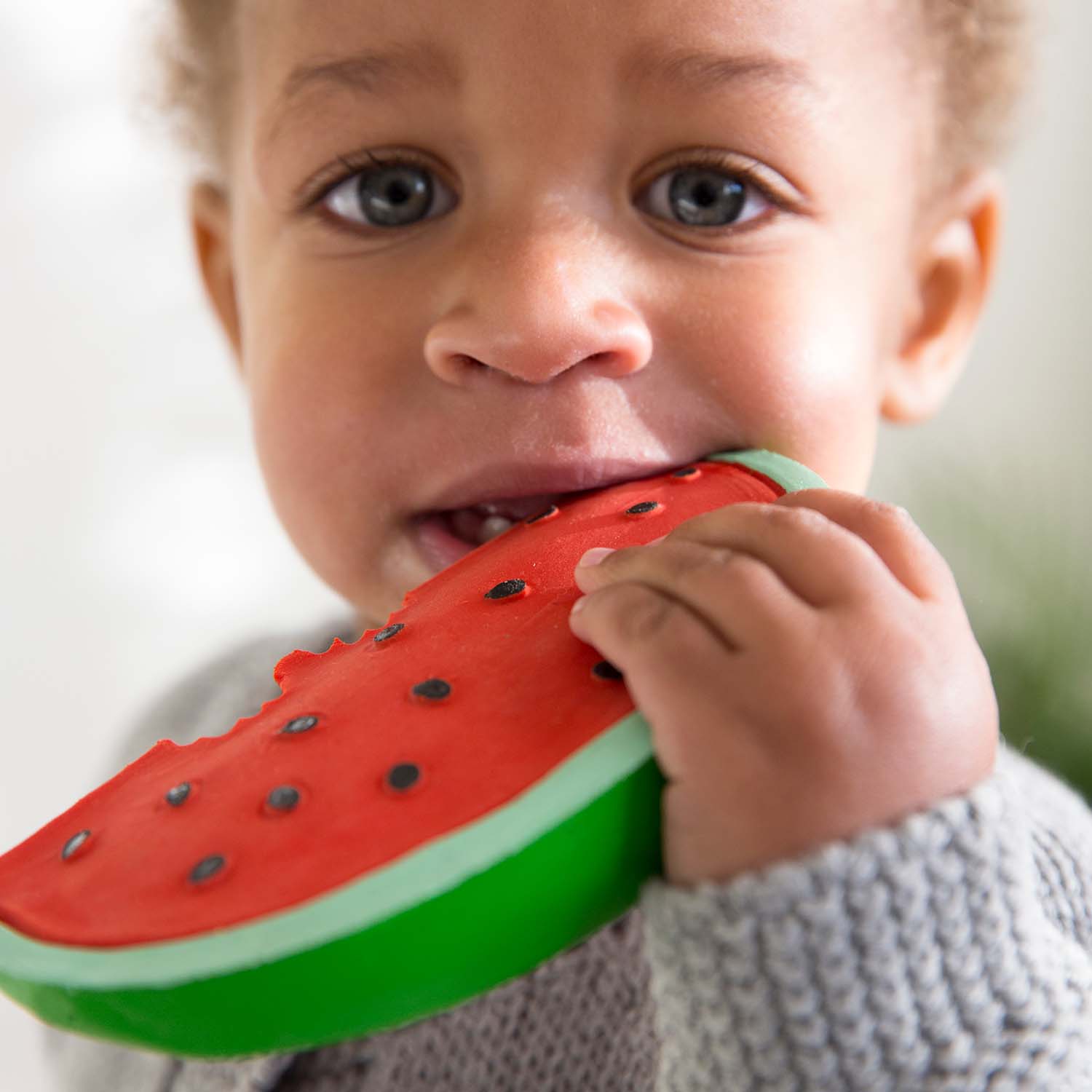 Oli & Carol Wally the Watermelon Teether – Baby Teethers for children, available at Learning Bugs UK