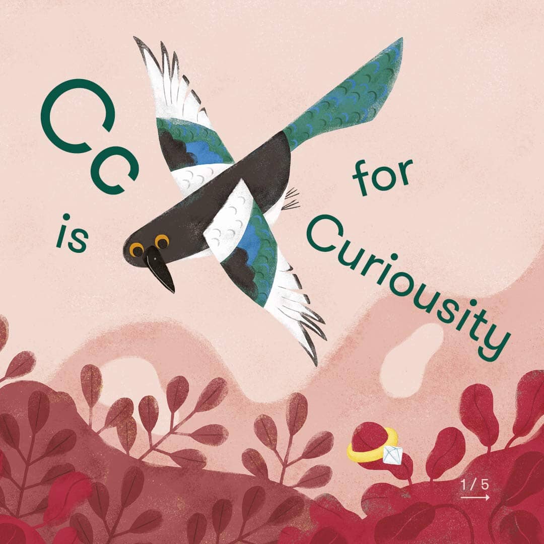 An Emotional Menagerie by Rachael Saunders - Learning Bugs UK