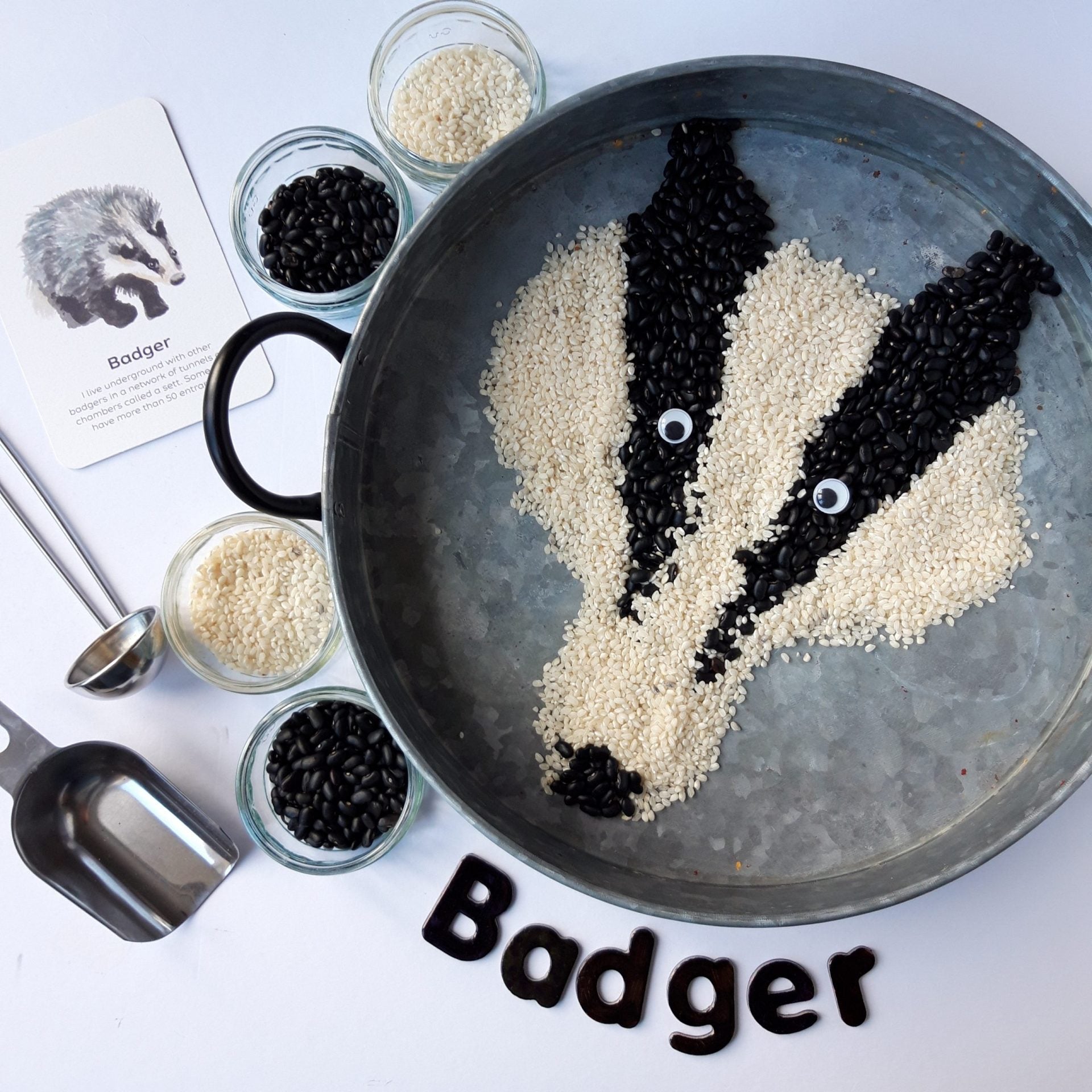 Buy Bee A Little Wild - Mammals Flashcards | for kids by Learning Bugs UK