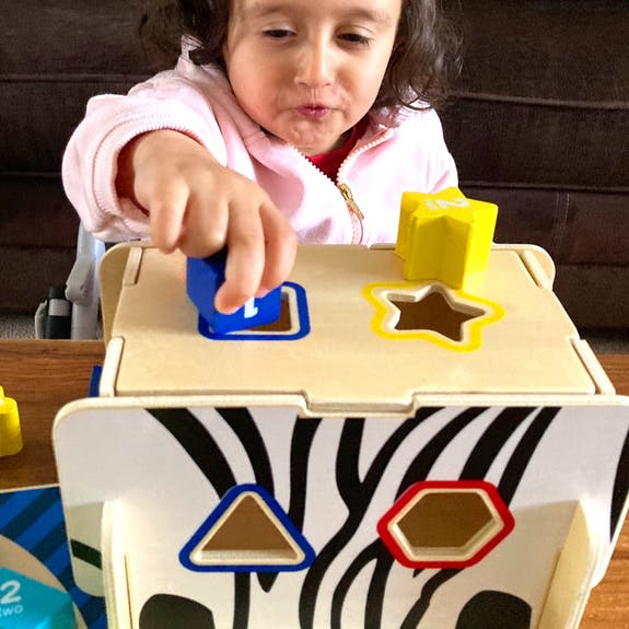 Bee Smart Wooden Zebra Shape Sorter by Bee Smart - Learning Bugs UK