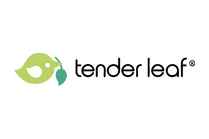 Tender Leaf Toys – Wooden Pretend Play, Furniture and Kids Activities