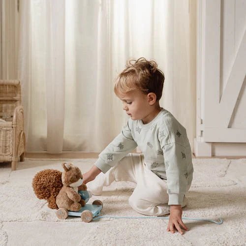 Buy Little Dutch Pull Along Squirrel | for kids by Learning Bugs UK