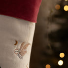 Buy Christmas Stocking - Bear Cub | Christmas for kids by Learning Bugs UK