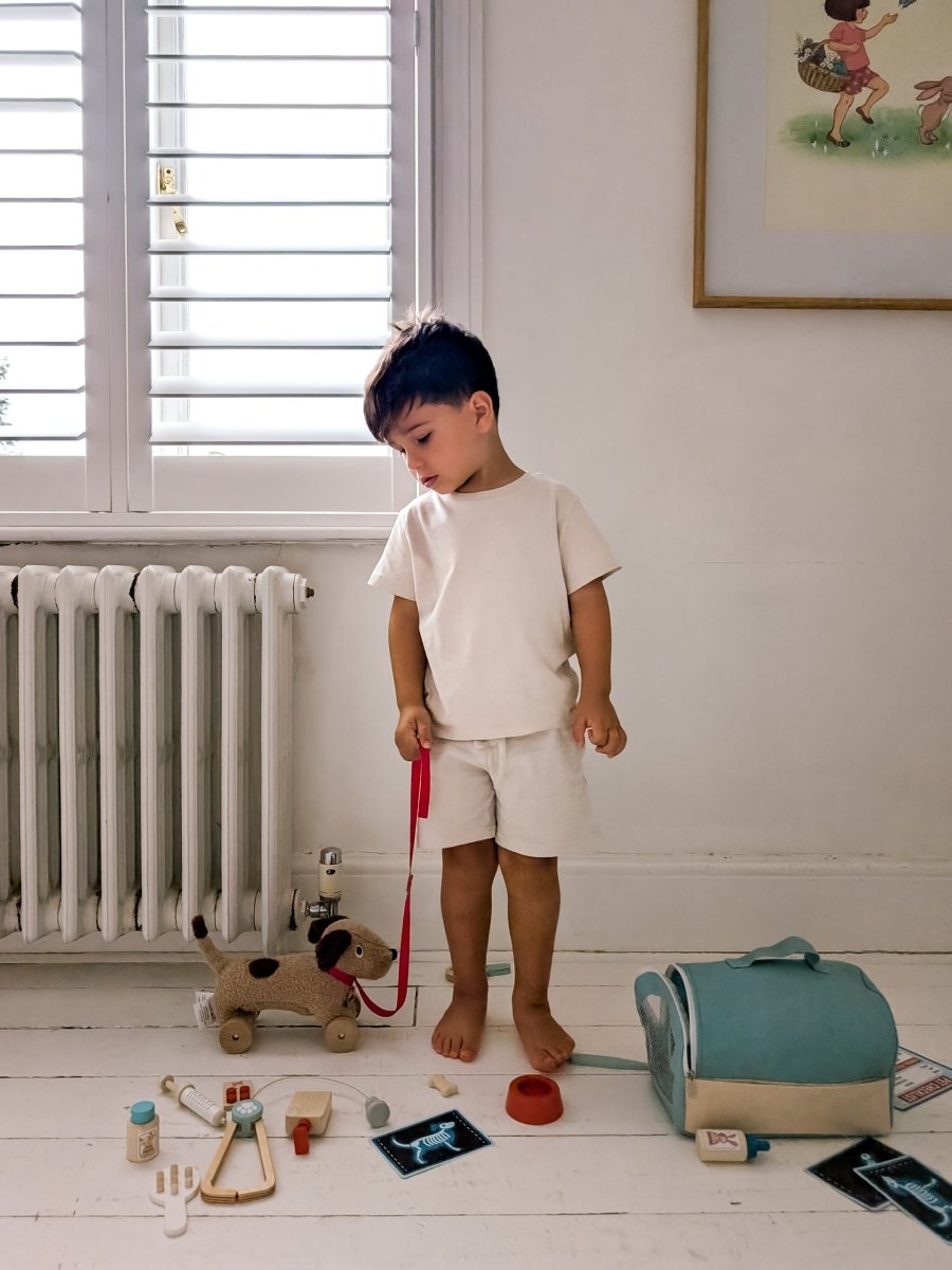 Animal Rescue Vet Set – role play for children, available at Learning Bugs UK